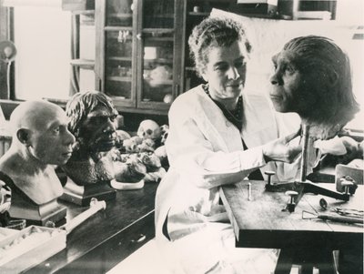 Lucile Swan erstellt ein Modell des Schädels des Peking-Menschen "Nelly" von Unbekannt Unbekannt